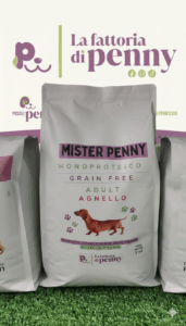 MISTER PENNY