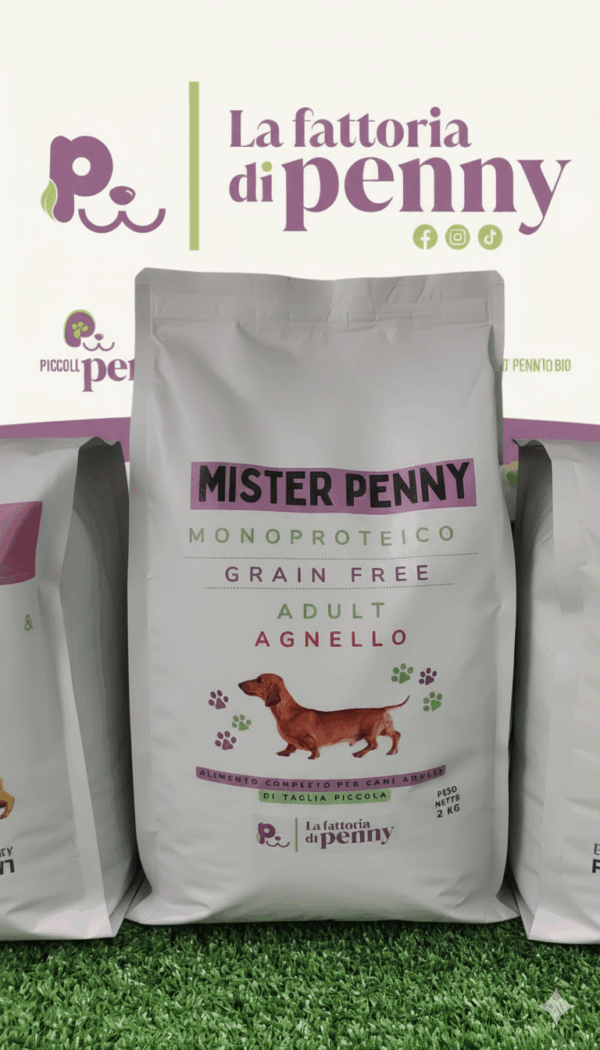 MISTER PENNY