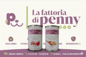 MISTER PENNY PAPPA