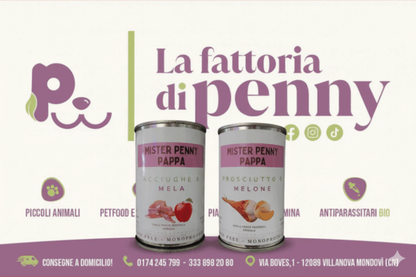 MISTER PENNY PAPPA